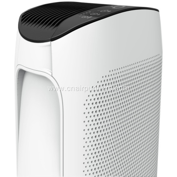 smart air purifier in room